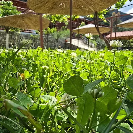 路易莎旅馆 招待所 3*