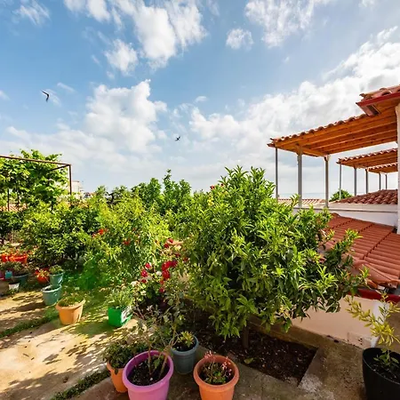 Luiza Guest house