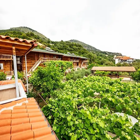 路易莎旅馆 博尔什