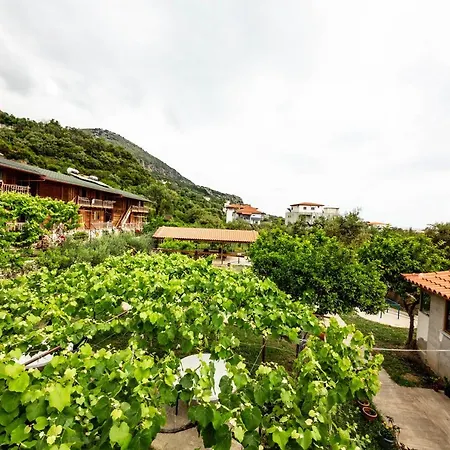 Guest house Luiza Borsh