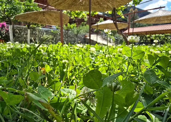 路易莎旅馆 招待所 3*