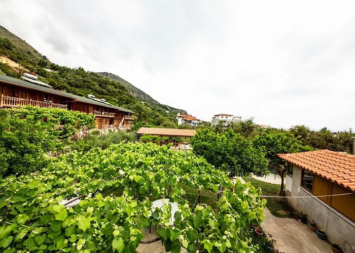 招待所 路易莎旅馆 博尔什